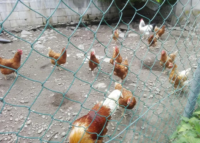 Familiengasthof Zirmhof 3* مالطا